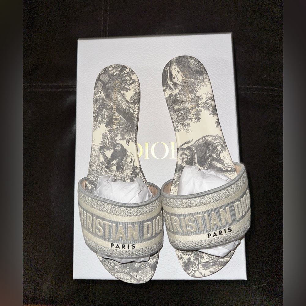 DIOR DWAY SLIDE - GRAY TOILE